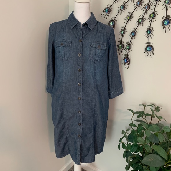 chicos denim dress